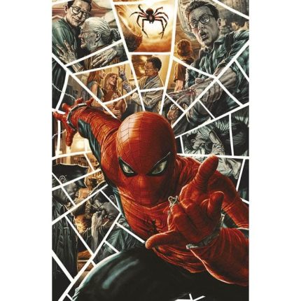 Amazing Spider-Man 10 - Spider-Man 883 Variant Cover di Lee Bermejo