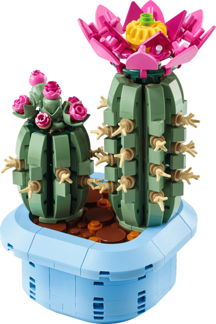 Cactus in fiore
